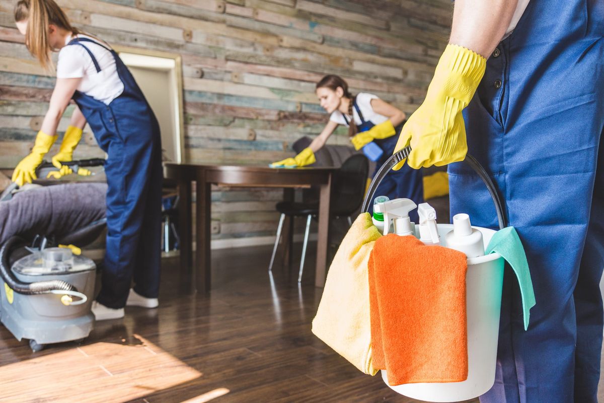 Urban Apartment Cleaning
