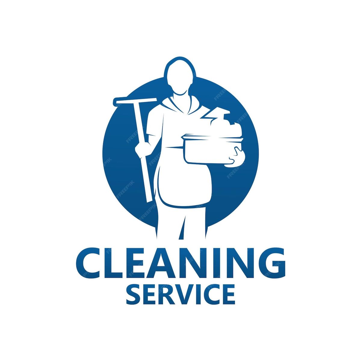 Professional cleaning team at work